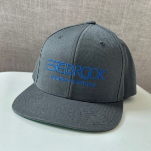 Estelbrook Snapback Hat